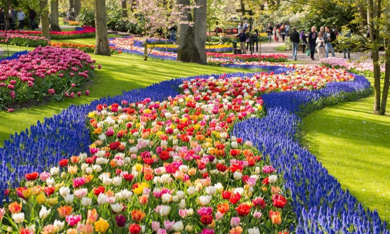 Warmond: Windmühlenrundfahrt und Keukenhof Ticket