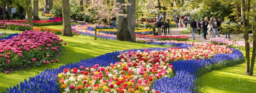 Warmond : Croisière sur les moulins à vent et billet d'entrée à Keukenhof