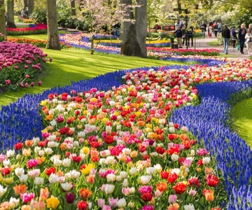 Warmond: Väderkvarnskryssning och inträdesbiljett till Keukenhof