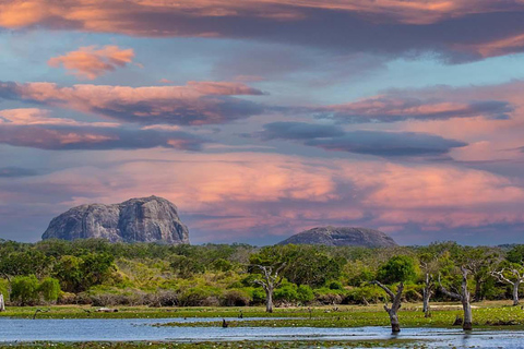 Mirissa/Galle: Trasferimento a Ella e YALA &amp; UDAWALAWA Safaris