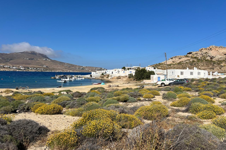 Mykonos: Privat rundtur i Mykonos med terrängfordon