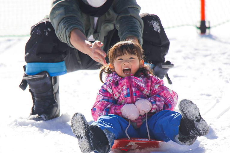 Busan: Muju Winter Hiking & Scenic Resort Day Trip C. Ski & Board Tour (Equipment Only) 7years▲