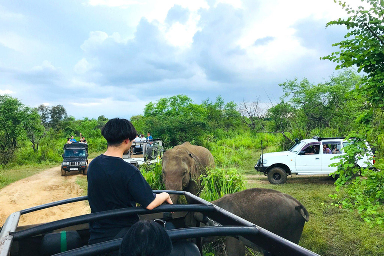 Sigiriya: Rock Fortress, Village Tour, and Jeep Safari