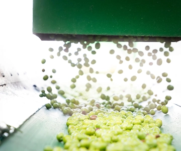 "Oro Bailén": Explore the Oil Mill + Tasting