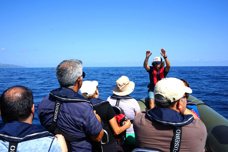 圣米格尔岛：火山奇观、洞穴与历史游船之旅