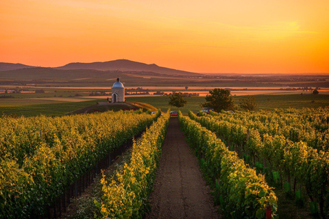 Bratislava: A Fairy Tale Day in Moravia’s Wine Country - CZ Private Group - from Bratislava