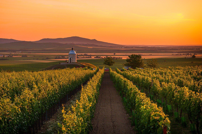 Bratislava: A Fairy Tale Day in Moravia’s Wine Country - CZ Private Group - from Bratislava