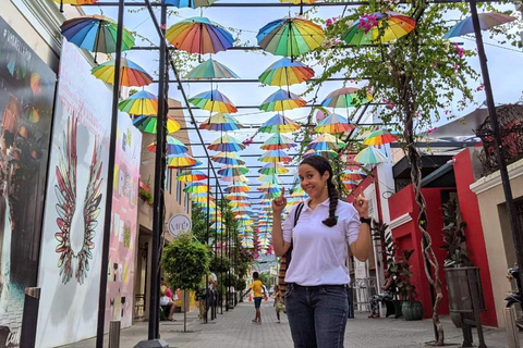 Private: City Tour with Lunch, Rum, and Chocolate