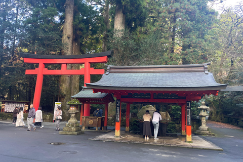 From Tokyo: Hakone Full Day Customizable Private Tour
