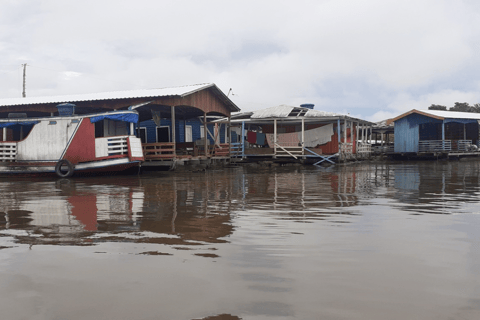 Tour compartilhado Belezas naturais da Amazôniano rio negroDie natürliche Schönheit des Amazonas, schwarzer Fluss (geteilte Tour)