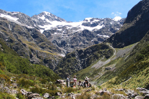 克赖斯特彻奇：亚瑟山口和城堡山私人观光