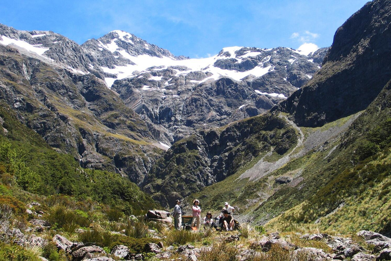 克赖斯特彻奇：亚瑟山口和城堡山私人观光
