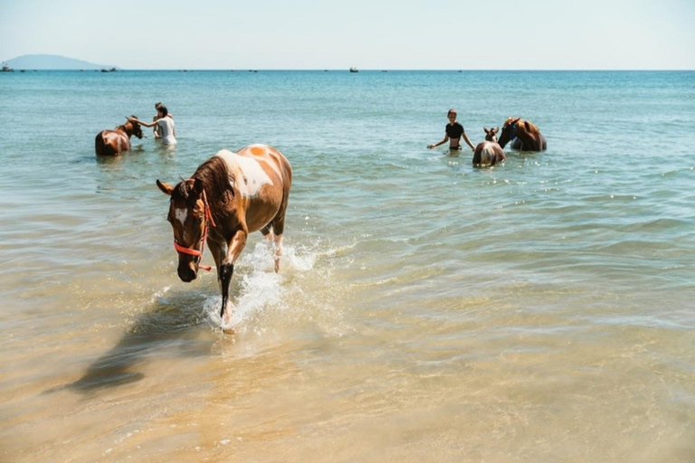 岘港：自然与骑马体验之旅岘港：自然与骑马体验