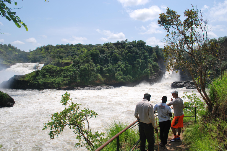 Uganda: Murchison Falls National Park 3-Day Safari Tour