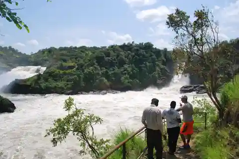 3-dniowe safari Best of Uganda Big5 w Parku Narodowym Murchison Falls