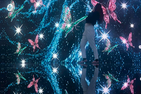 Osaka: MIRACLE WORLD Digital Art Admission Pass(E-ticket)