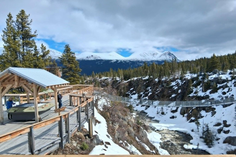 Skagway: Yukon Suspension Bridge & White Pass Scenic Tour