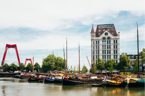 Les points forts de Rotterdam avec des locaux : Visite à pied et croisière en bateau