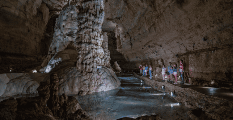 San Antonio: Discovery Tour at Natural Bridge Caverns photo 5
