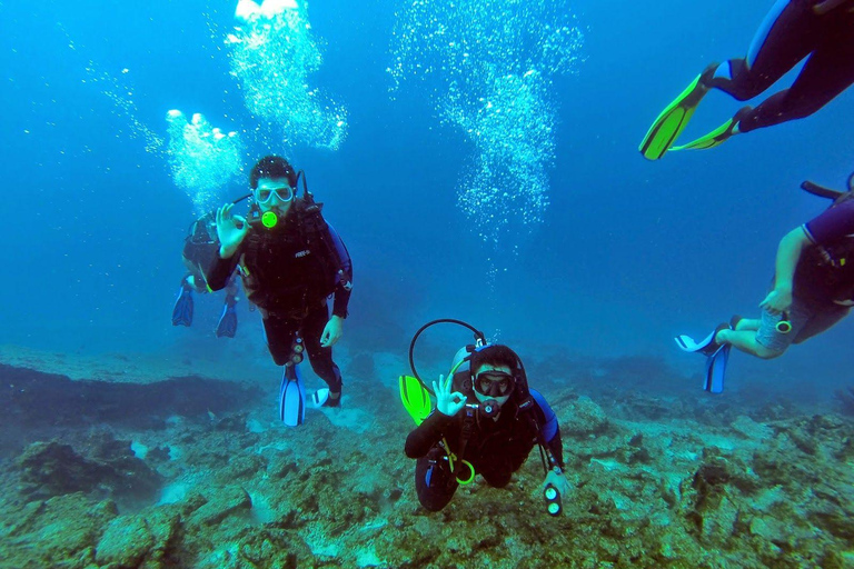 From Antalya: Scuba Diving With Lunch and Transfer