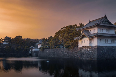 Tokyo Imperial Palace Walking Tour with Expert Guide