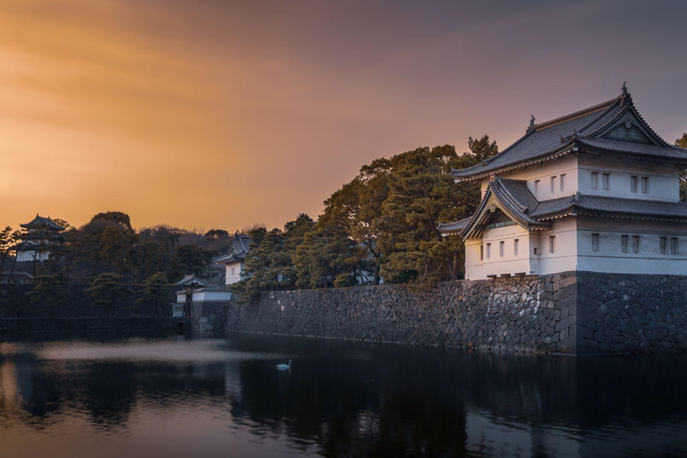 Tokyo Imperial Palace Walking Tour with Expert Guide