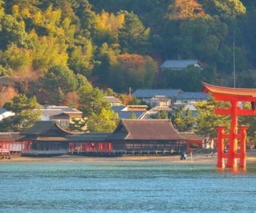 Da Osaka: Biglietti del treno proiettile e del traghetto per Miyajima, andata e ritorno