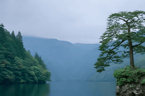 Tokyo: Nikko National Park Private Tour Hotel Pickup & Drop