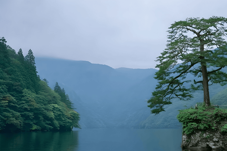 Tokyo: Nikko National Park Private Tour Hotel Pickup & Drop