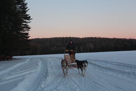 Mont-Tremblant: Dogsledding Nordic Adventure