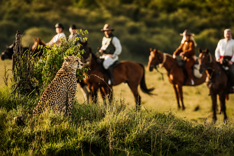 From Arusha: Arusha National Park Full-Day Safari & Walking
