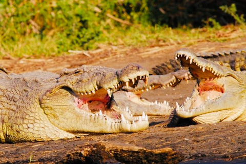 Omo-Tal-Erlebnis-Touren 4 Tage