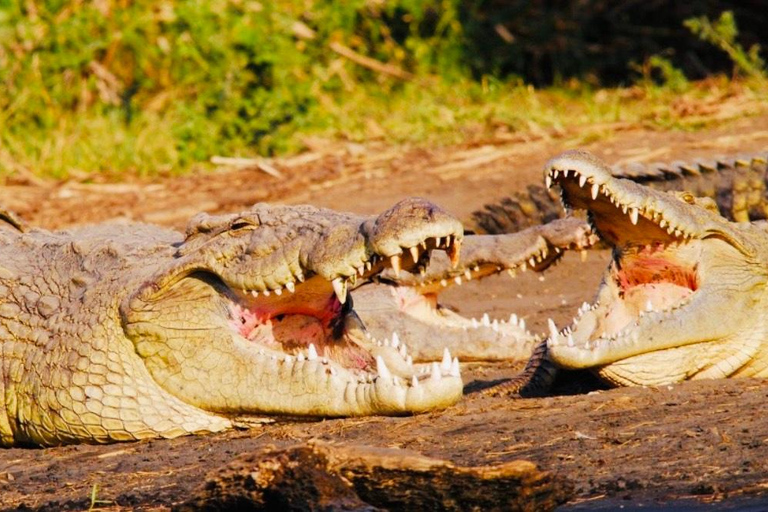 Wycieczka do Doliny Omo 4 dniWycieczki do doliny Omo – 4 dni