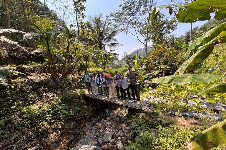 يوغياكارتا: جولة شاملة مع مرشد سير في تراس الأرزيوجياكارتا: جولة شاملة على مدرجات الأرز مع مرشد