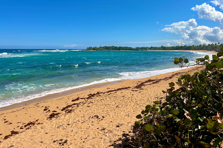 Au départ de San Juan : visite culinaire de la plage de Pinones et des barsAu départ de San Juan : excursion à la plage et aux bars de Pinones