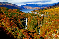 Nikko Full-Day Private Sightseeing Day Trip - Housity