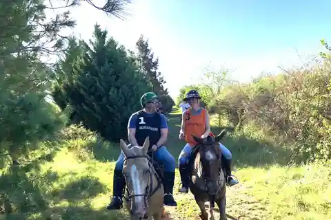 From Buenos Aires: Horseback Riding with BBQ