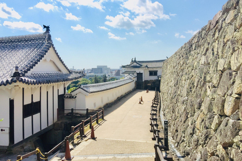 Himeji: Halve dag privétour met gids door het kasteel vanuit OsakaHalve dag tour met gids naar kasteel Himeji