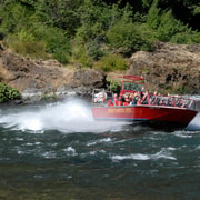 Gold Beach, Oregon: Historic Mail Route Jet Boat Tour | GetYourGuide