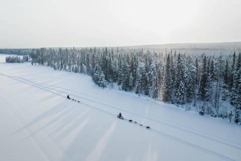 Rovaniemi: Aventura con huskies por la Ruta Larga del Círculo Polar Ártico