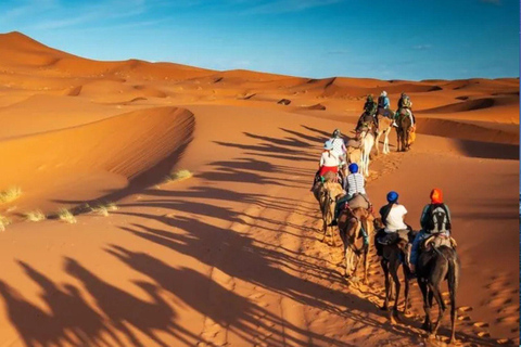 Desert safari from Cruise Terminal: Off-Road Tour in Qatar