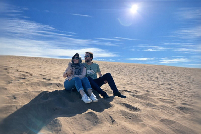Santiago: Valparaiso, Llama Vineyard & Concon Dune Sunset