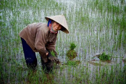 Hoi An: Morning Bike Tour - Rice Wine, Lunch & Villages Group Tour