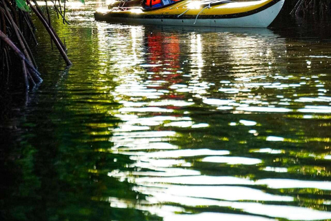 Explore Private Mangrove Kayak Adventure with Village Tour TRANSEER AND ENTRANCE FEE ALL ARE INCLUDED