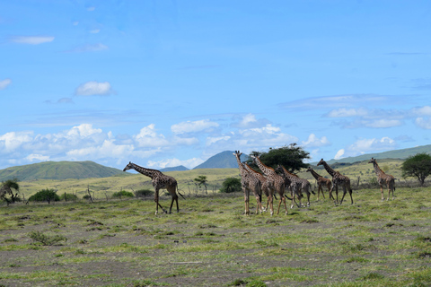 Arusha: Lake Natron Day Trip (Lake Walk &amp; Waterfall Hike)