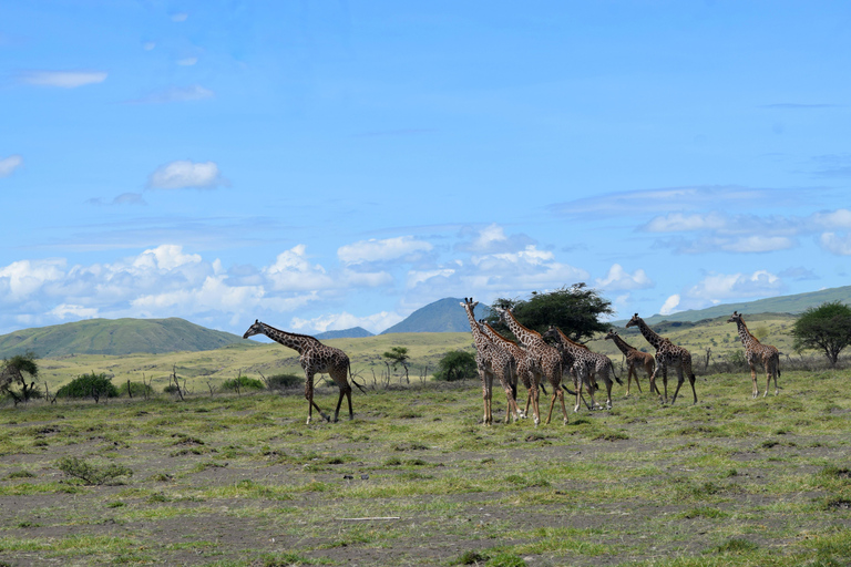 Arusha: Lake Natron Day Trip (Lake Walk &amp; Waterfall Hike)