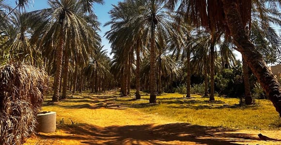 https://djerba.zarzis-tataouine&ksar/url/1/ Ghilane, Tunisia: Sahara Desert 4x4 Tour & Oasis