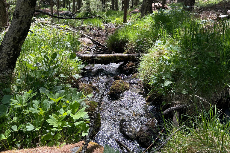 Zermatt: Survival Training & Bushcraft (without fire)