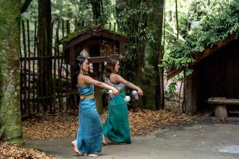 Desde Auckland Te Pā Tū Pueblo Maorí Tour Privado de un Día