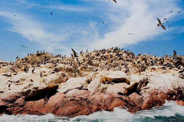 Excursión de 3 días a Nazca, Ica y Paracas